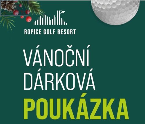 Vánoční dárková poukázka v hodnotě 1 000 Kč